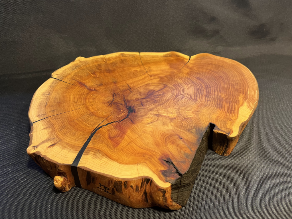 Massive Holzscheibe aus Eibe mit Naturkante – Unikat